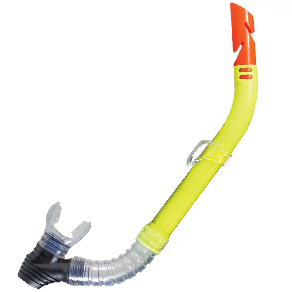 Clearwater Snorkel